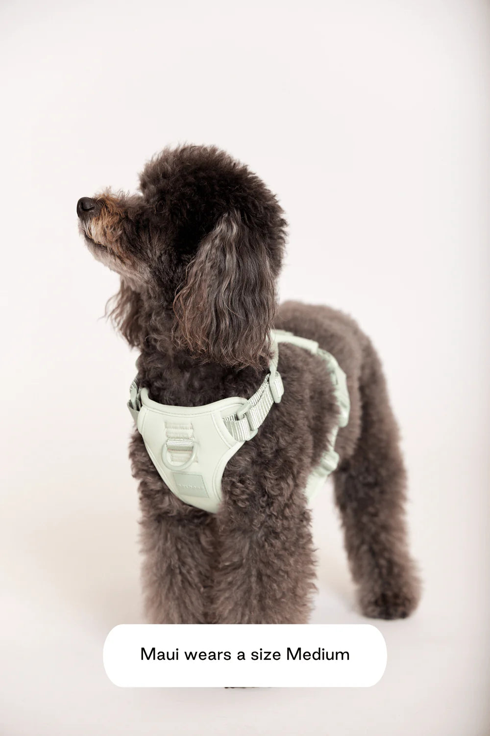 Double Panel Dog Harness