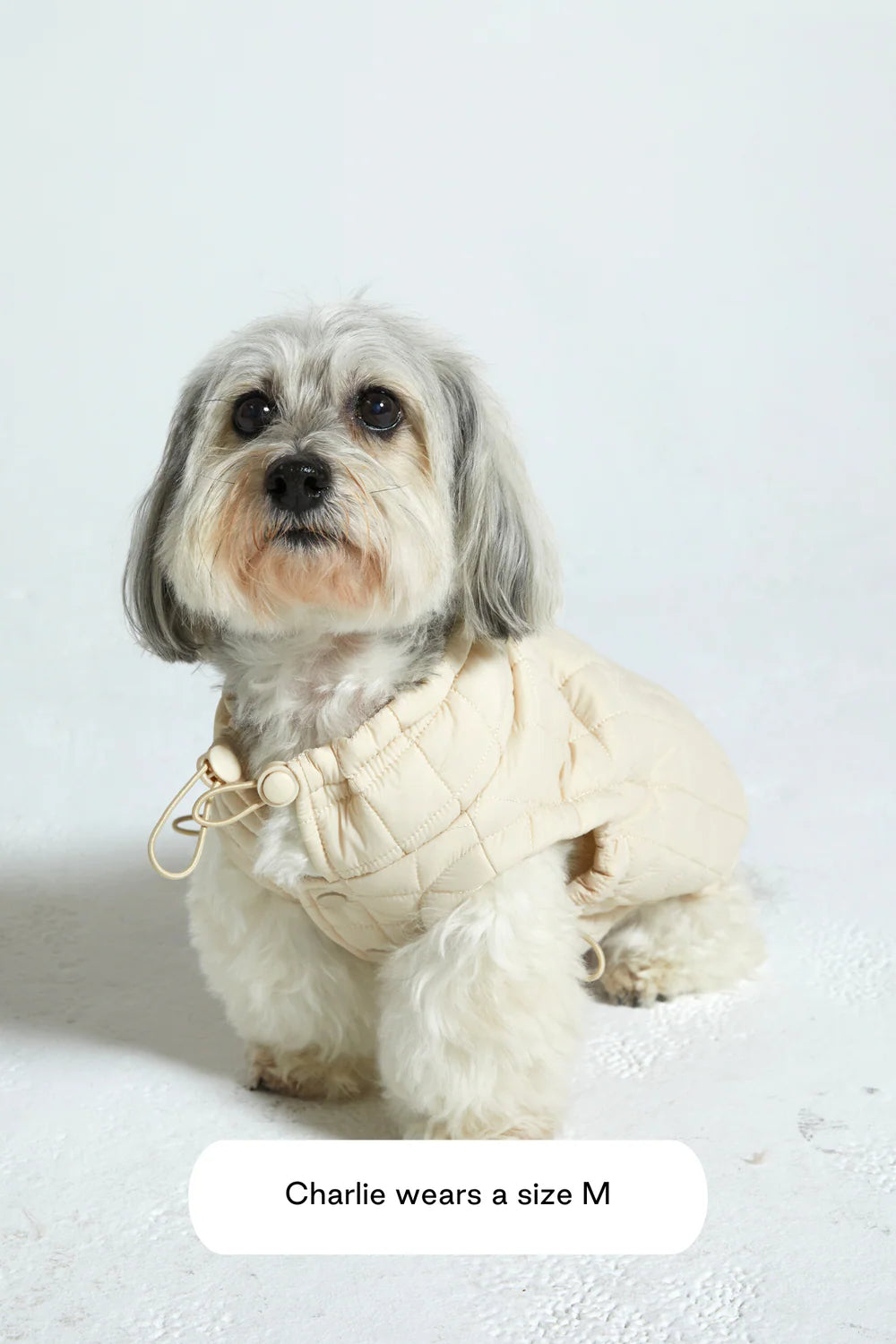 Adjustable Lightweight Dog Jacket