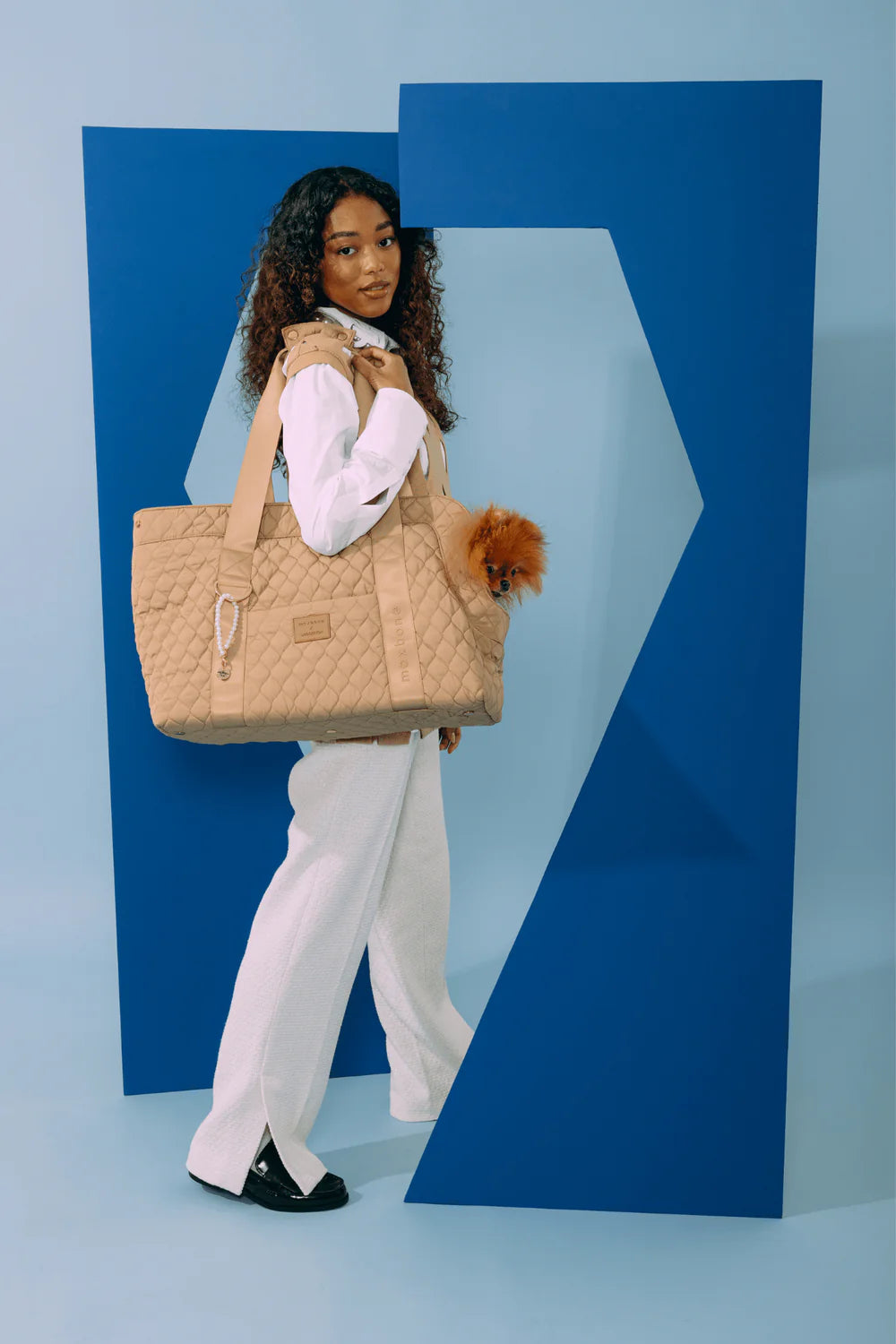 Luxury Pet Carrier Bag