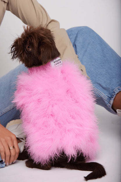 Christian Cowan x maxbone Dog Jumper