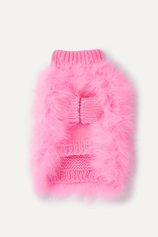 Christian Cowan x maxbone Dog Jumper