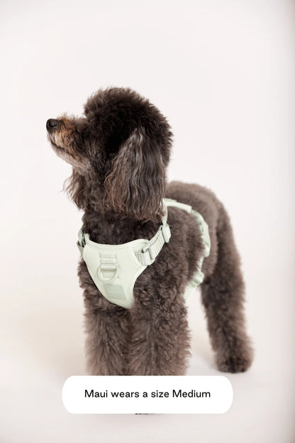 Double Panel Dog Harness