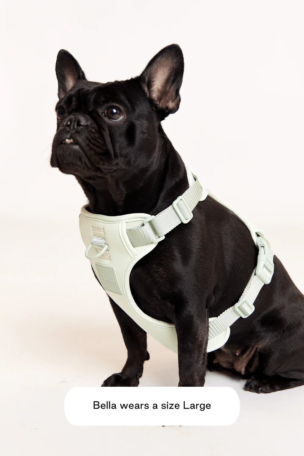 Double Panel Dog Harness
