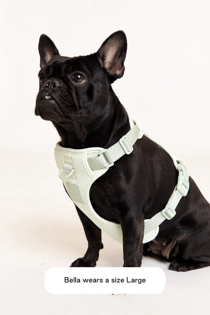 Double Panel Dog Harness