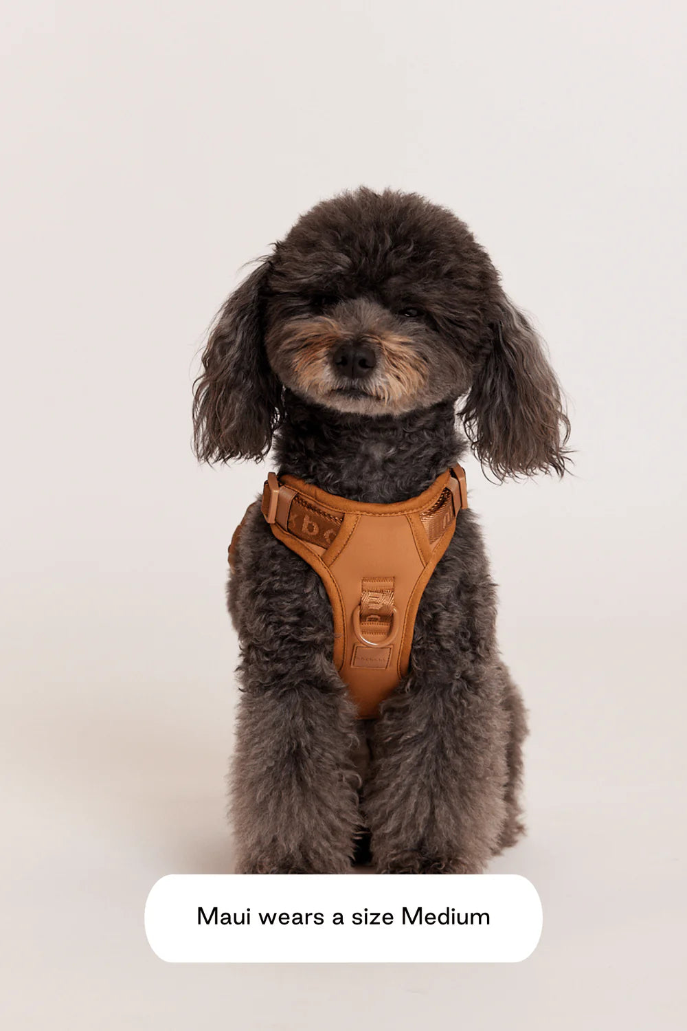 With Ease Dog Walking Bundle