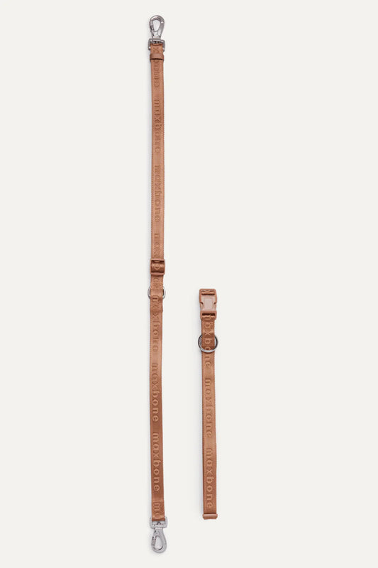 With Ease Dog Walking Bundle