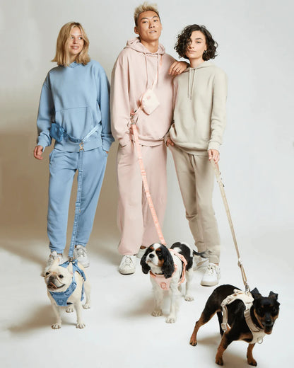 With Ease Dog Walking Bundle