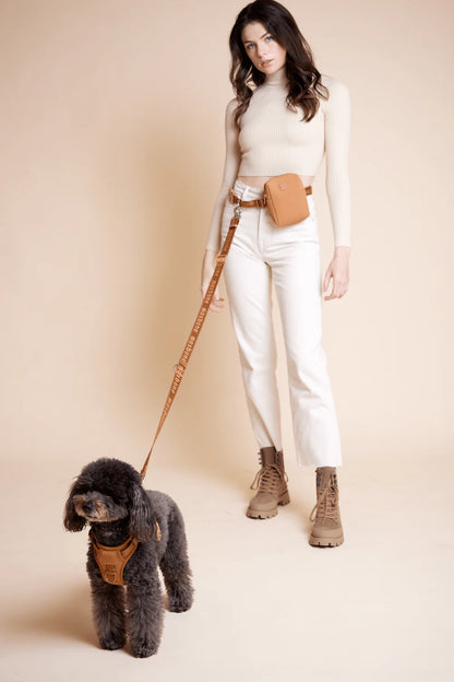With Ease Dog Walking Bundle