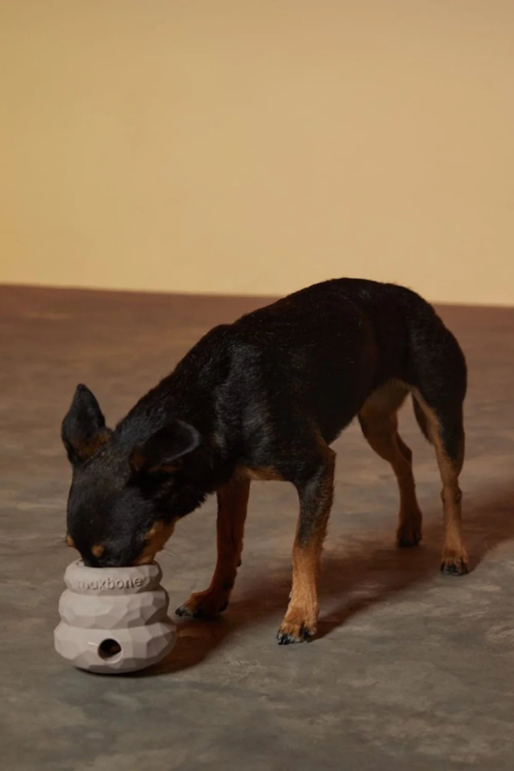 Honeycomb Treat Dispensing Dog Toy