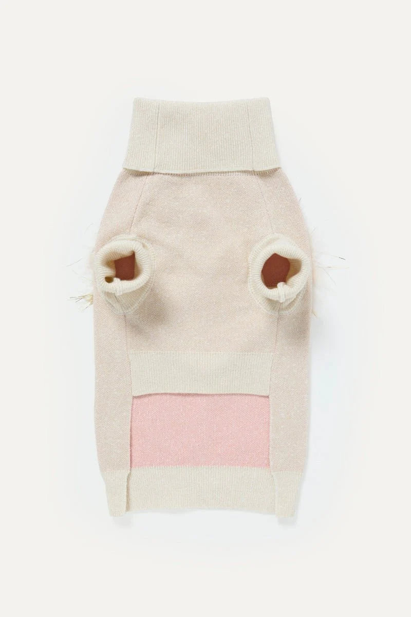 Dog Turtleneck Sweater with Heart Detail