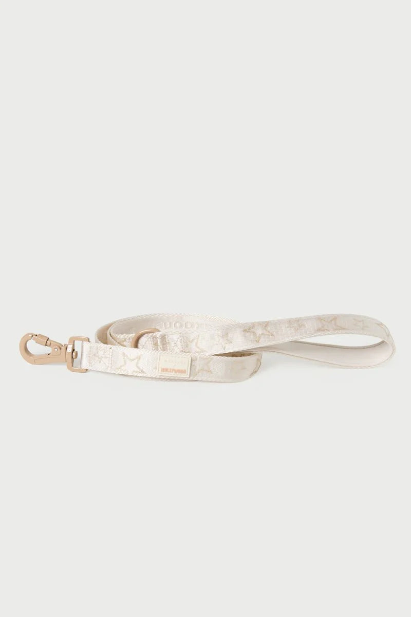 Dog Harness & Leash Walk Set