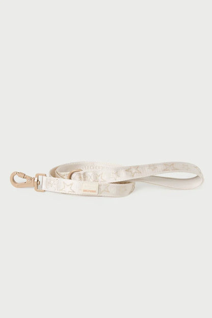 Dog Harness & Leash Walk Set