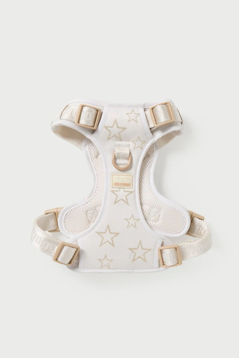 Dog Harness & Leash Walk Set