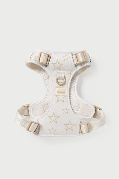 Dog Harness & Leash Walk Set