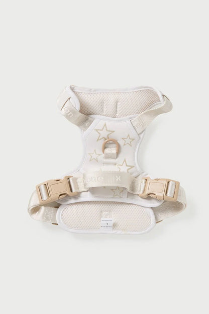 Dog Harness & Leash Walk Set
