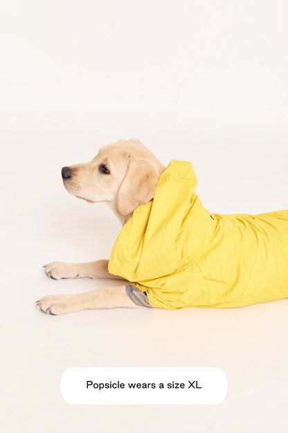 Talon Dog Raincoat