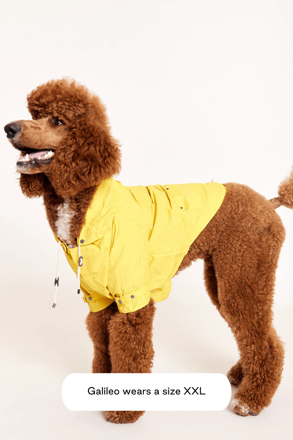 Talon Dog Raincoat