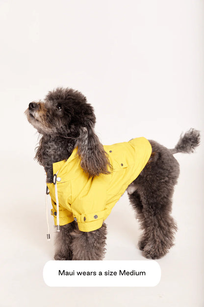 Talon Dog Raincoat
