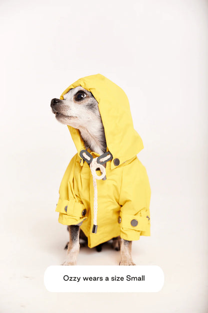 Talon Dog Raincoat